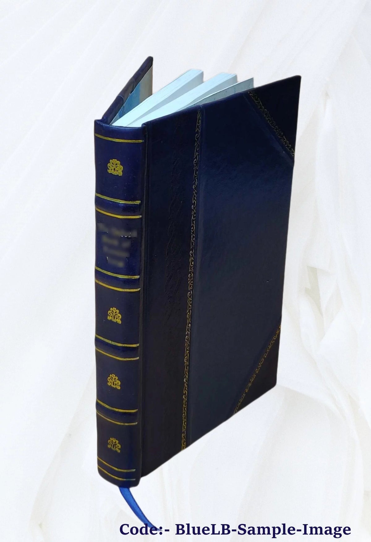 Leather Bound B284