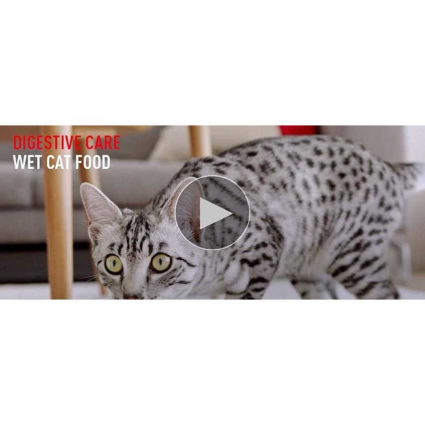 Thin Slices in Gravy Wet Cat Food G15083