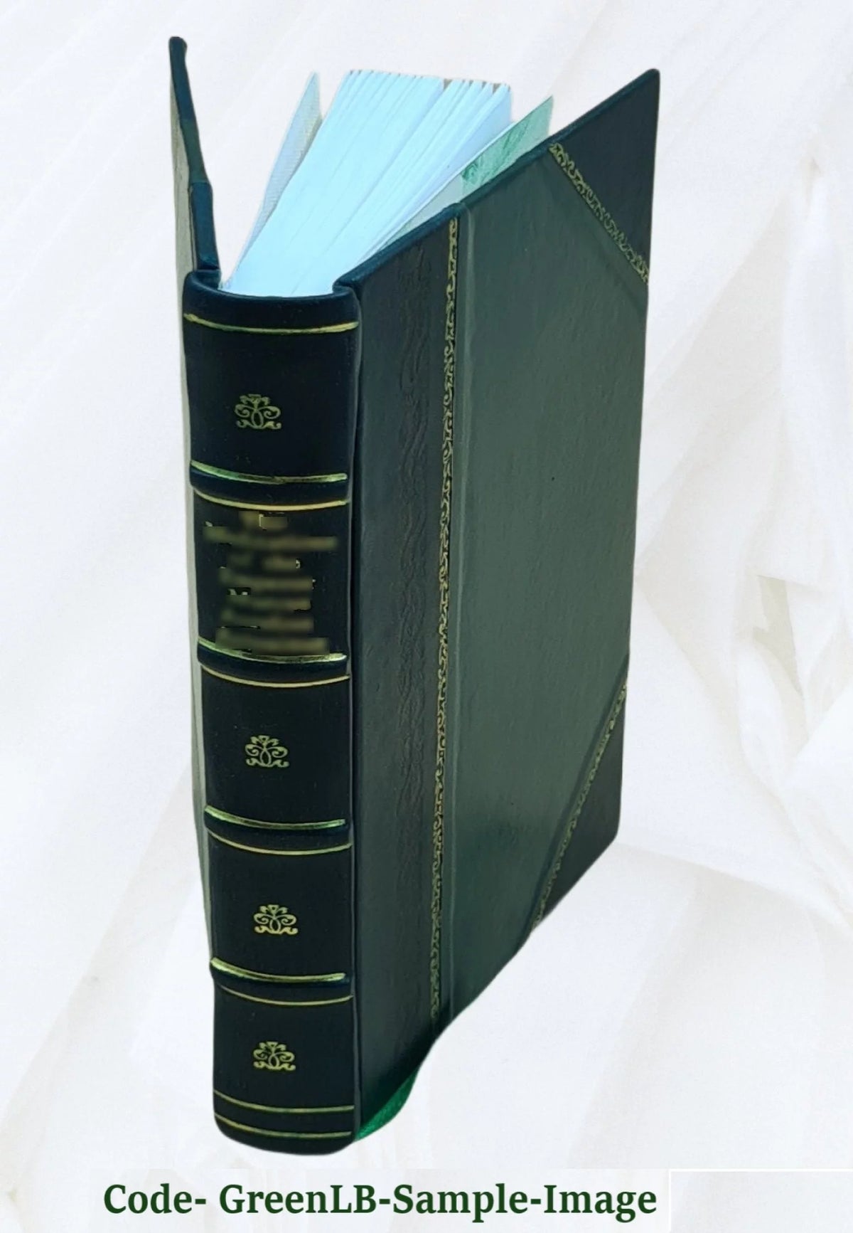 Leather Bound B284