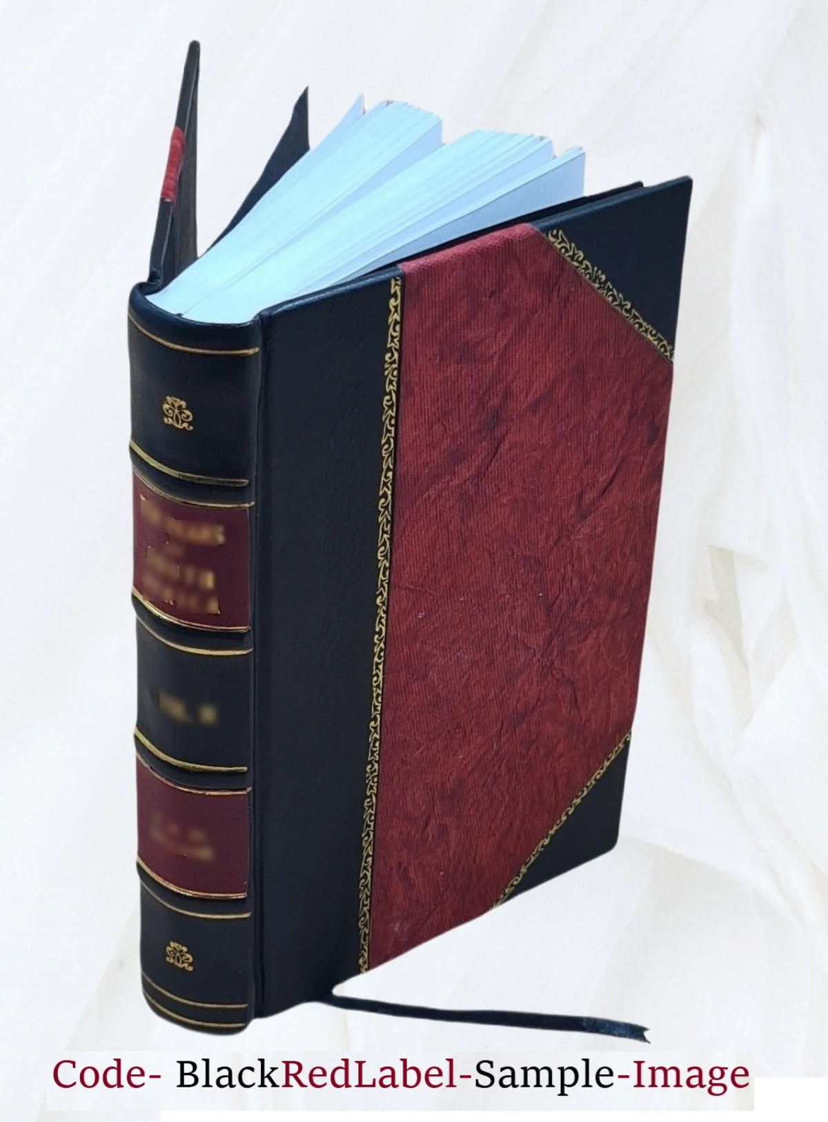 Leather Bound B284